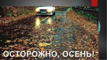 Риски ДТП в осенний сезон Риски ДТП в осенний сезон.